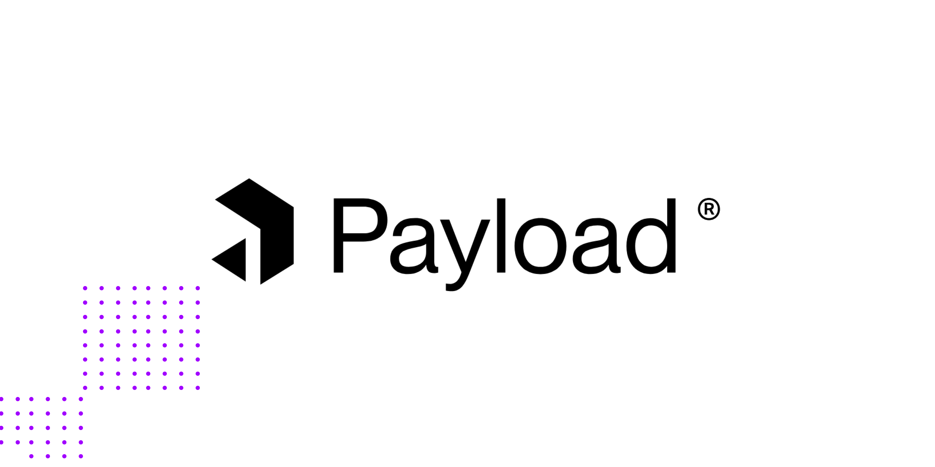 a feature image for a very famous CMS ( Payload) for a website